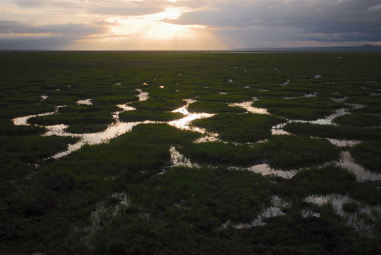 Climate Change: Are Clouds Amplifying Global Warming?